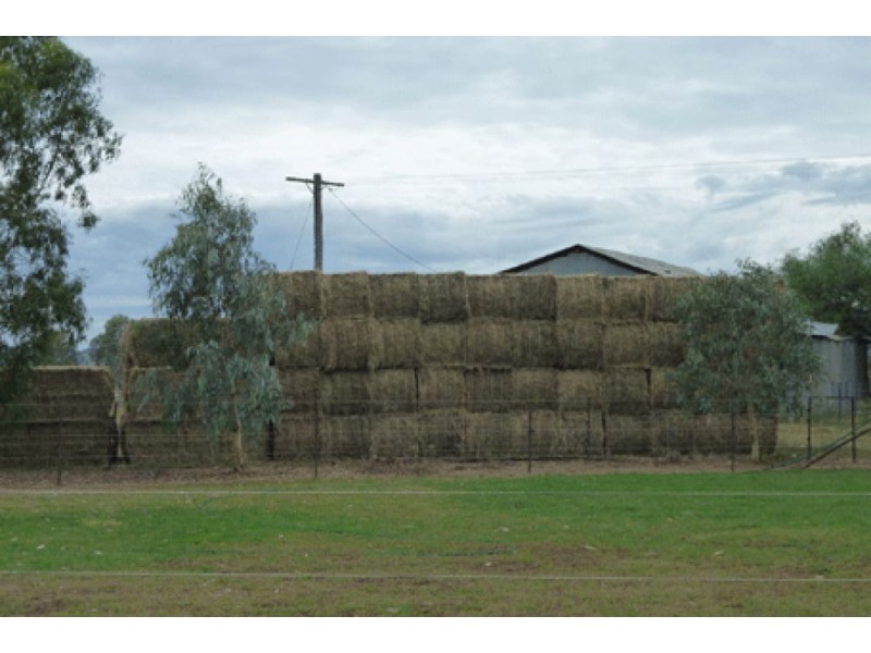 64 Ridds Lane, Winton NSW 2344