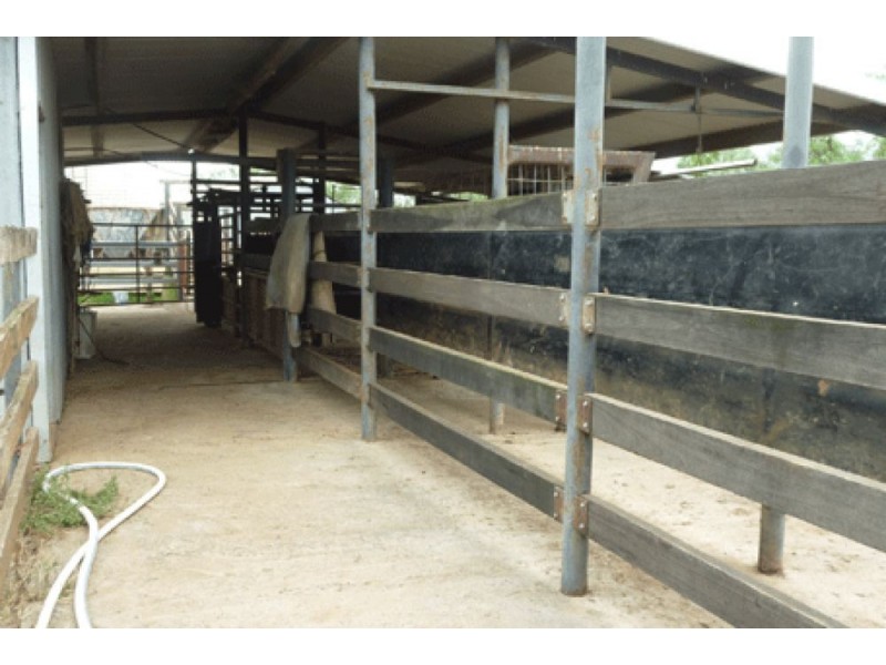 64 Ridds Lane, Winton NSW 2344