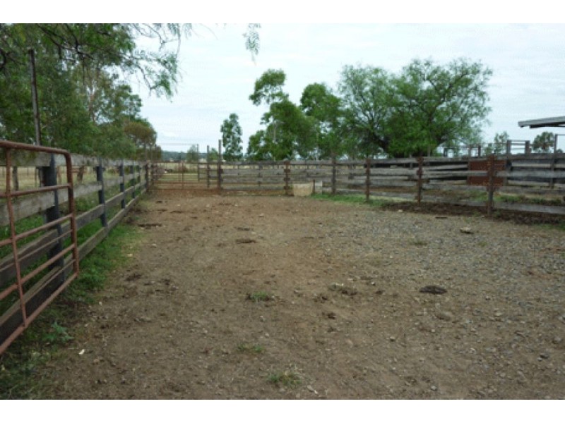 64 Ridds Lane, Winton NSW 2344