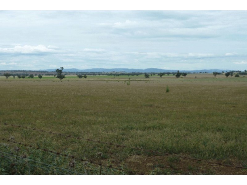 64 Ridds Lane, Winton NSW 2344