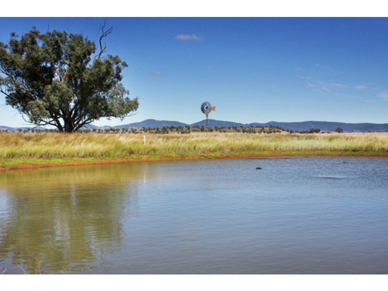 607 Old Winton Road, Tamworth NSW 2340