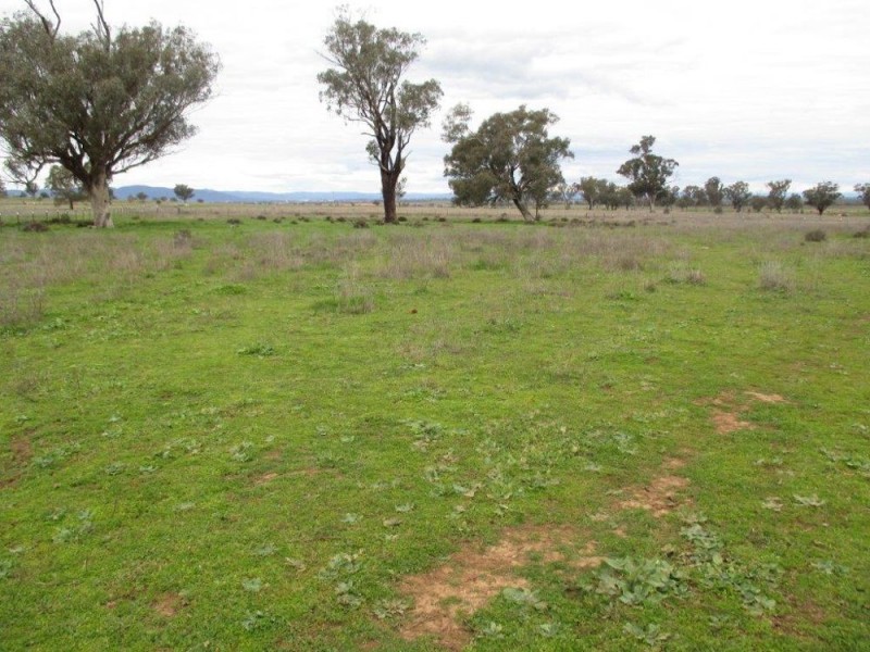 607 Old Winton Road, Tamworth NSW 2340