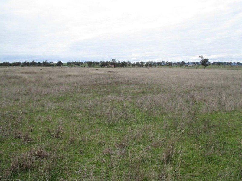 607 Old Winton Road, Tamworth NSW 2340