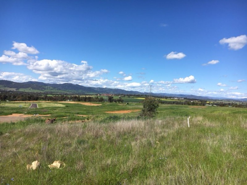 16 Currawong Drive, Tamworth NSW 2340