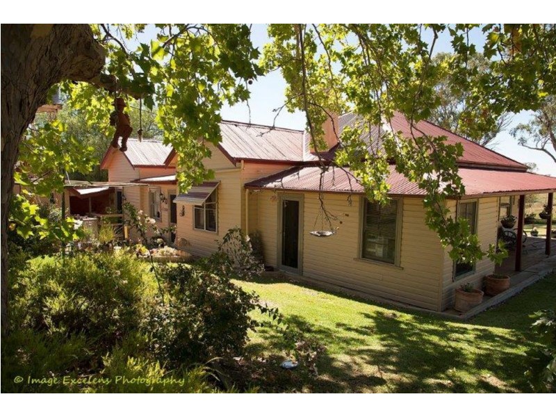 1311 Old Wallabadah Road,, Crawney NSW 2338