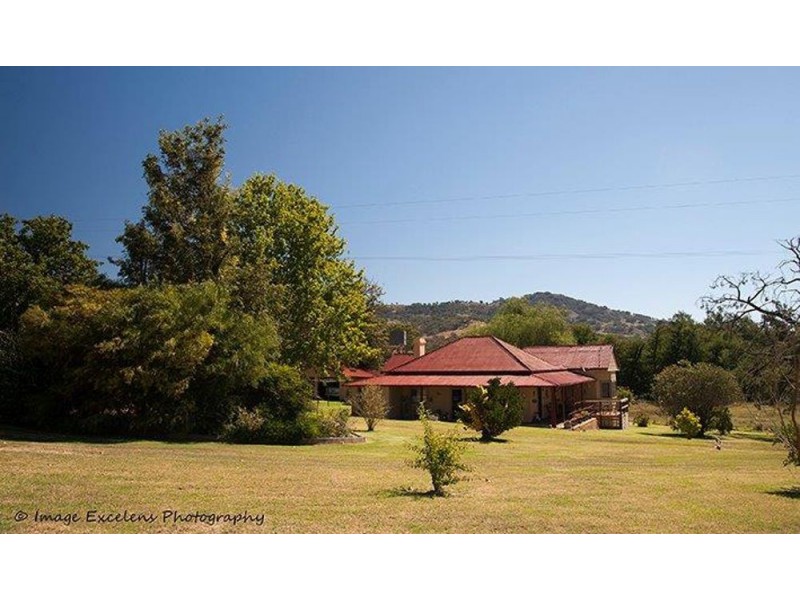 1311 Old Wallabadah Road,, Crawney NSW 2338