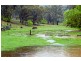 1311 Old Wallabadah Road,, Crawney NSW 2338