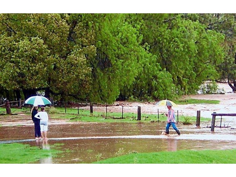 1311 Old Wallabadah Road,, Crawney NSW 2338