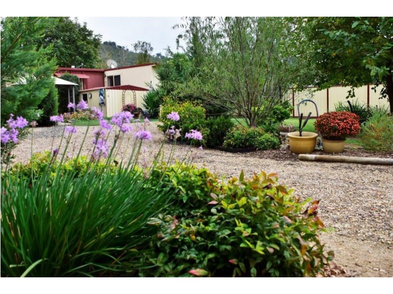 38-40 Canning Street, Woolomin NSW 2340