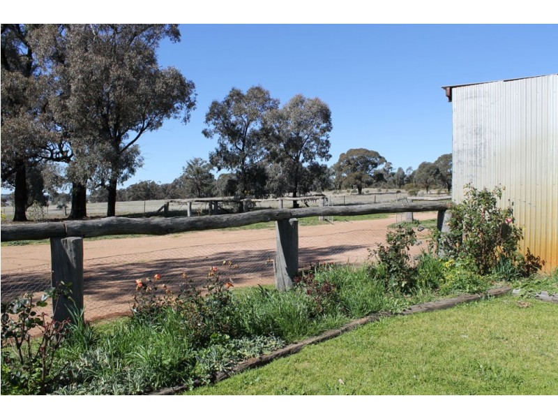 Temora NSW 2666