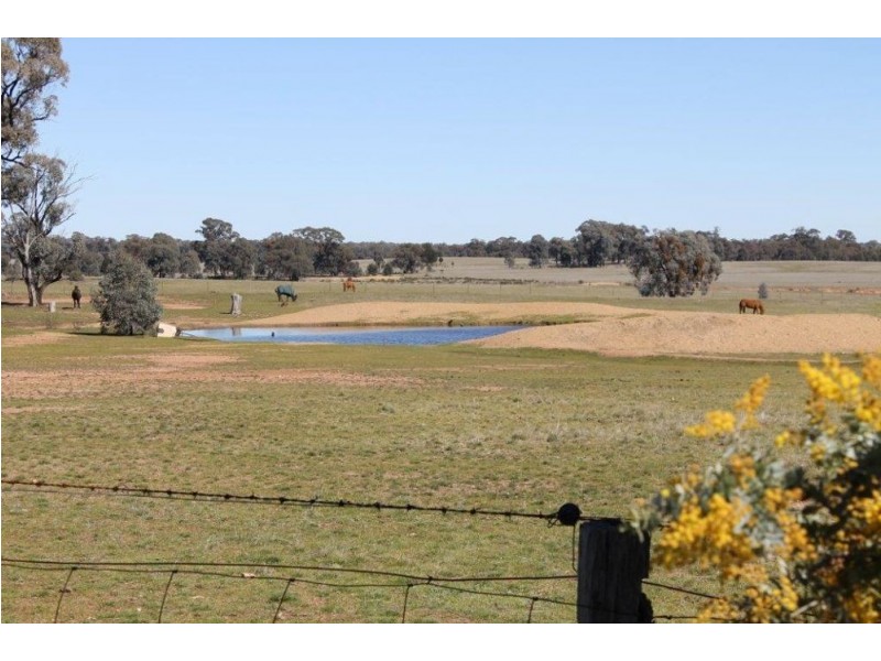 Temora NSW 2666
