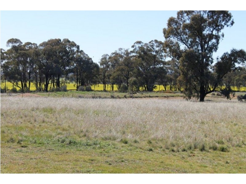 Temora NSW 2666