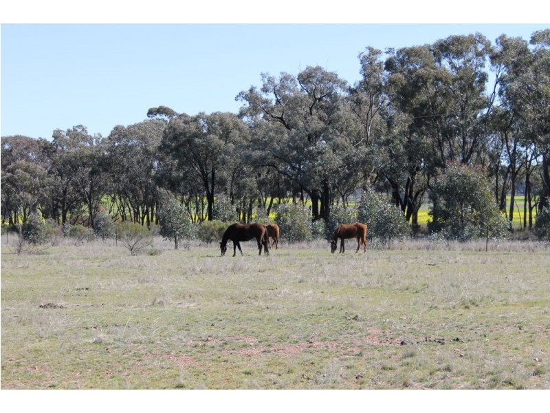 Temora NSW 2666