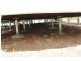 Lot 5 & 6 84 Scotland Road, Somerton NSW 2340