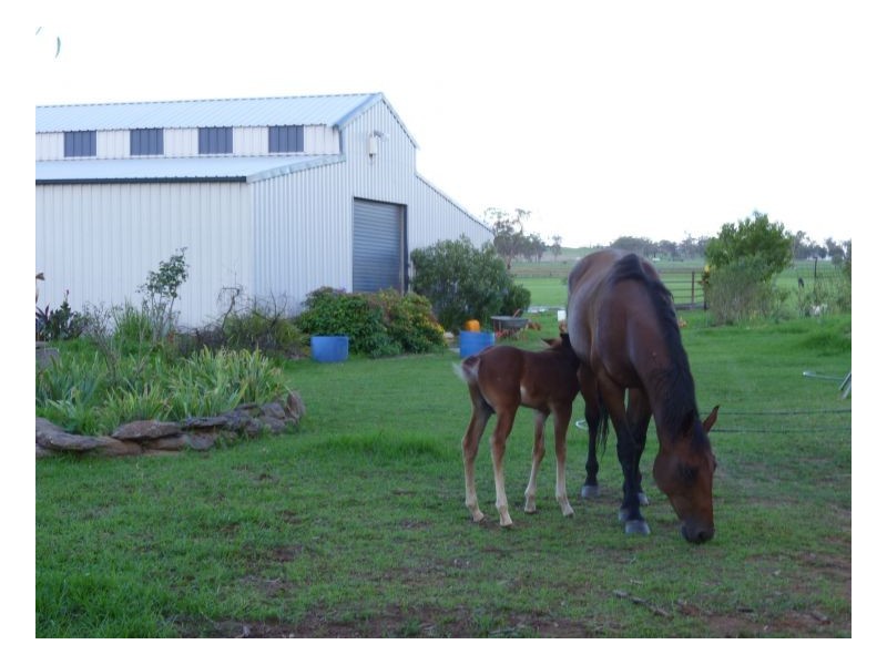 ROSE PARK, Tamworth NSW 2340