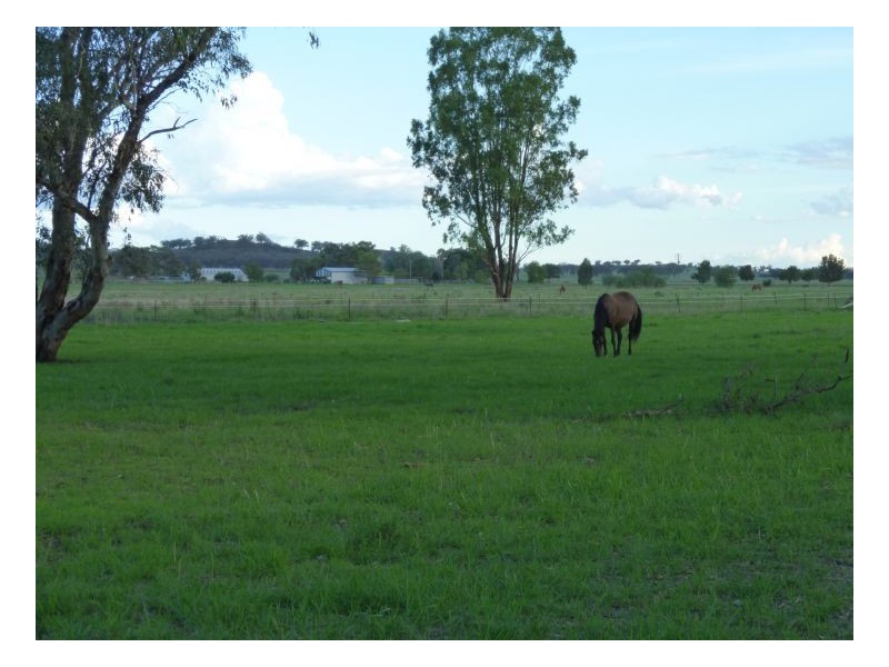 ROSE PARK, Tamworth NSW 2340
