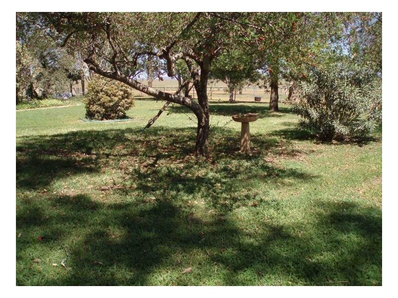 ROSE PARK, Tamworth NSW 2340