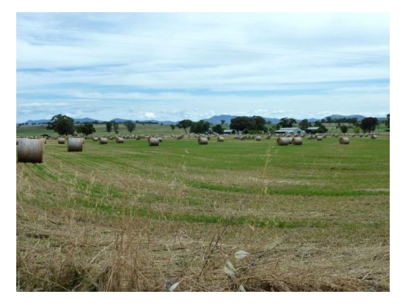 ROSE PARK, Tamworth NSW 2340