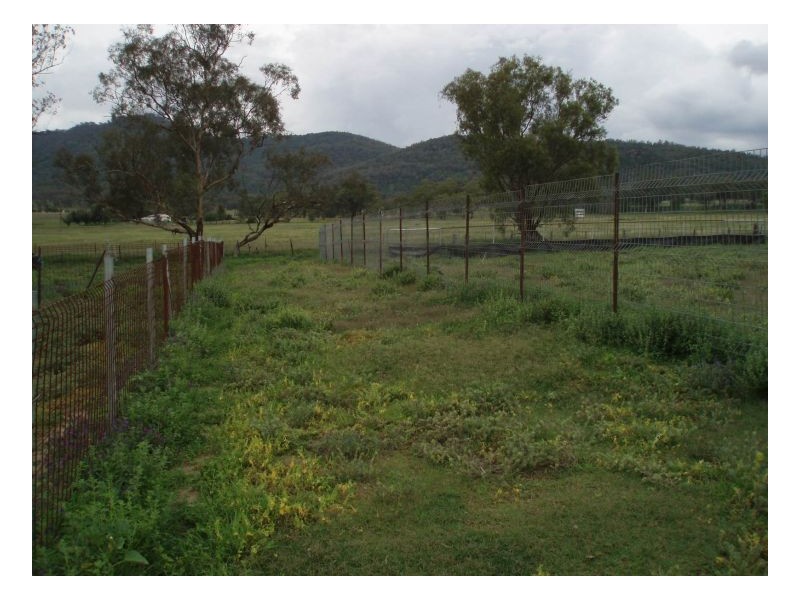 BELTANA, Tamworth NSW 2340