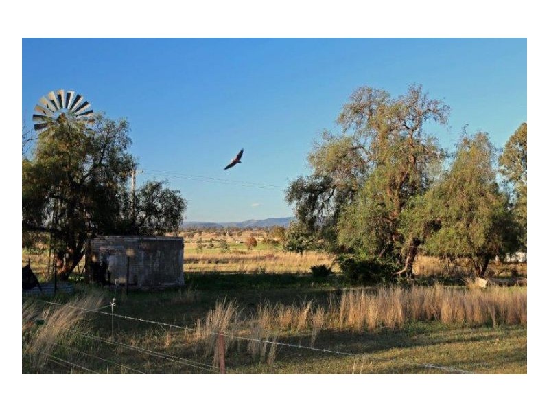 BELMONT, Tamworth NSW 2340