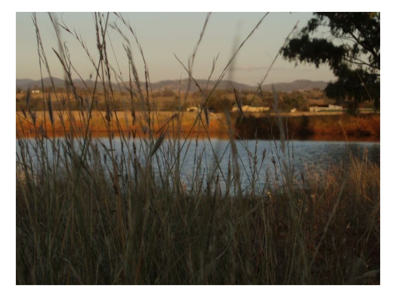 BELMONT, Tamworth NSW 2340