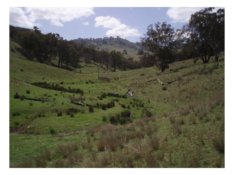 ECHO HILLS, Dungowan NSW 2340