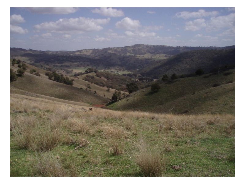 ECHO HILLS, Dungowan NSW 2340