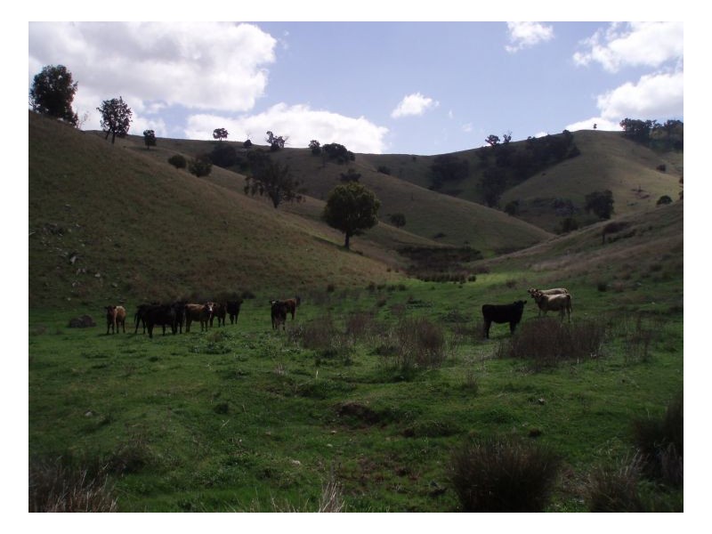 ECHO HILLS, Dungowan NSW 2340