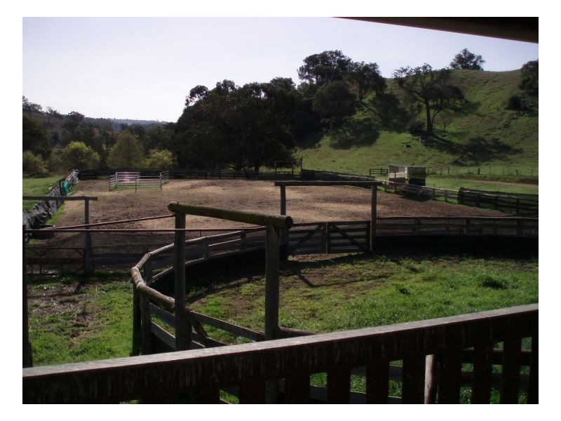 ECHO HILLS, Dungowan NSW 2340