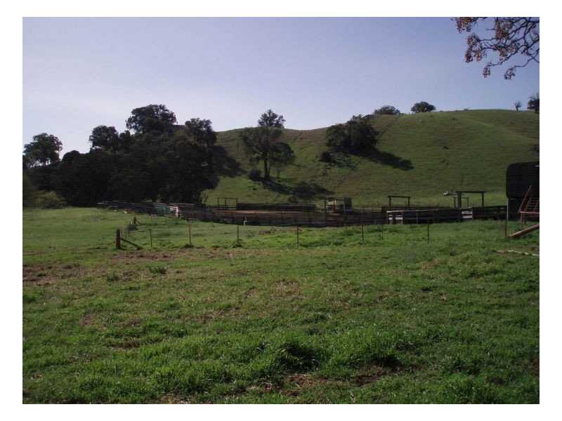ECHO HILLS, Dungowan NSW 2340