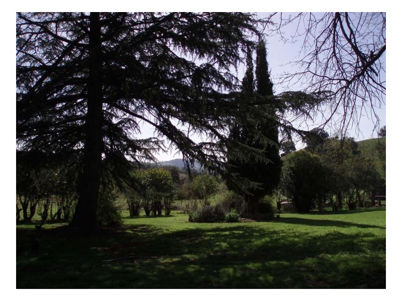 ECHO HILLS, Dungowan NSW 2340