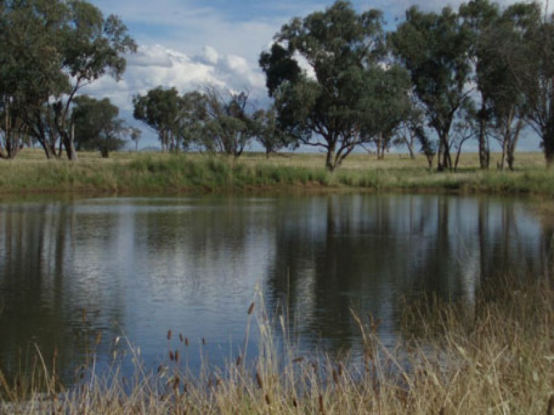 KESTREL SPRINGS, Tamworth NSW 2340