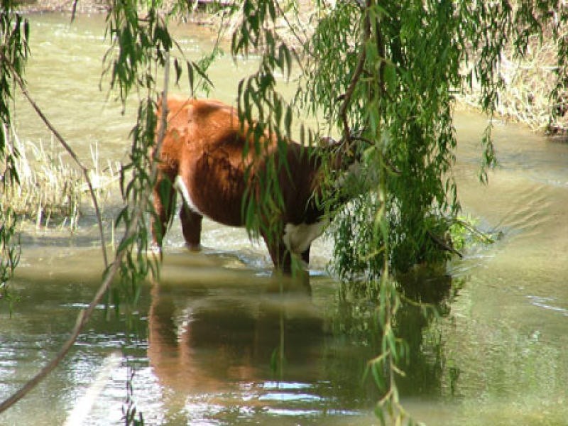 City Acres, Tamworth NSW 2340