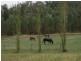 Tamworth NSW 2340