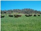 STRONGHURST, Tamworth NSW 2340