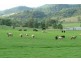 STRONGHURST, Tamworth NSW 2340