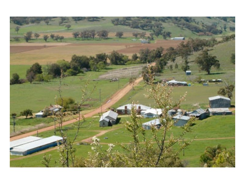 STRONGHURST, Tamworth NSW 2340
