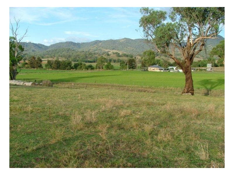 STRONGHURST, Tamworth NSW 2340