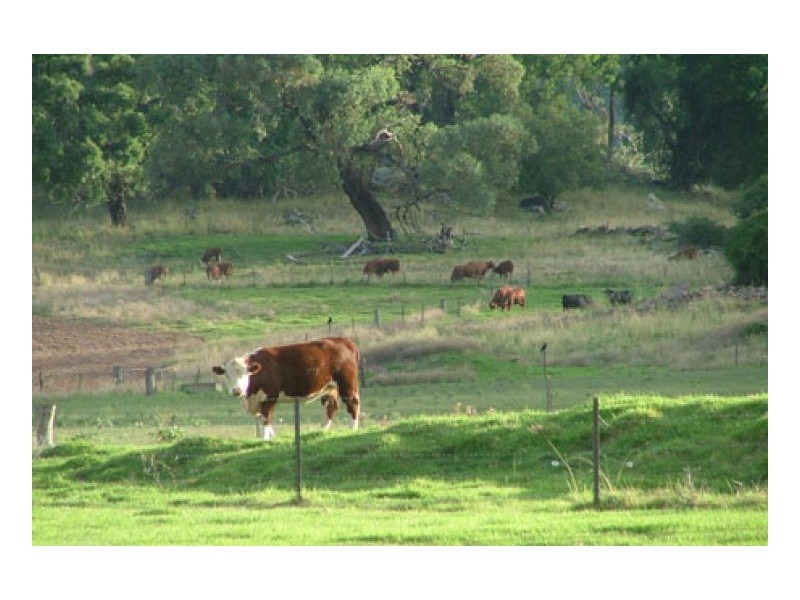 STRONGHURST, Tamworth NSW 2340