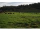 STRONGHURST, Tamworth NSW 2340