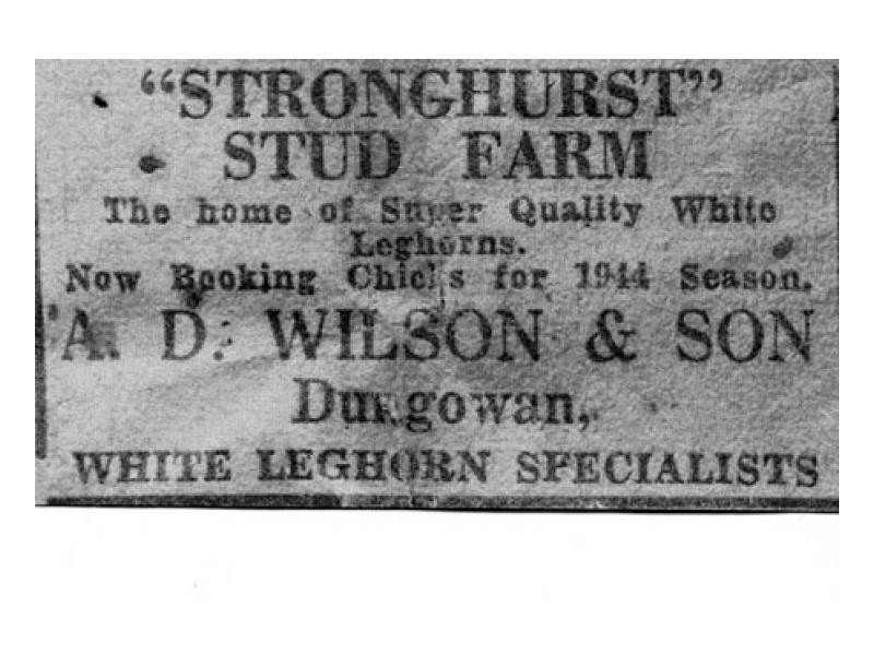 STRONGHURST, Tamworth NSW 2340