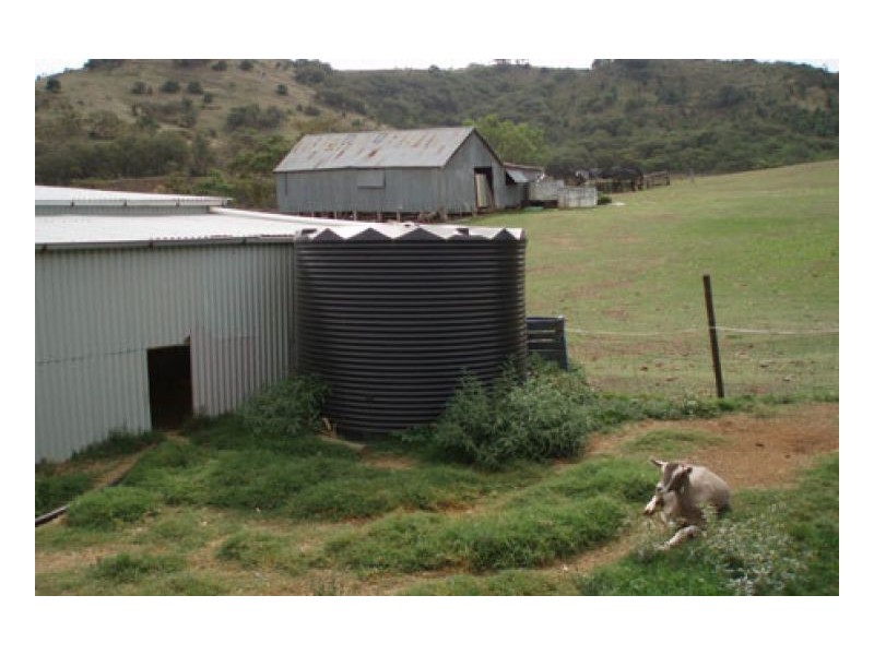 MARYVALE HOMESTEAD, Tamworth NSW 2340