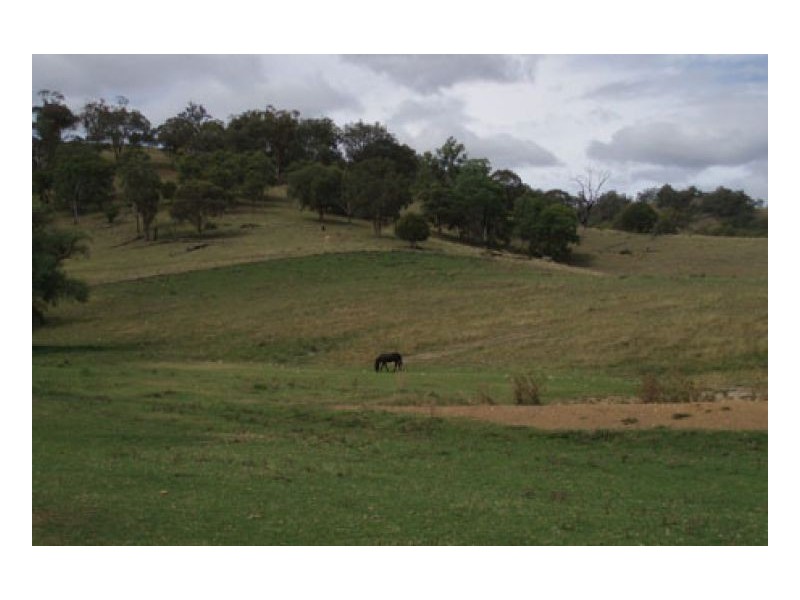MARYVALE HOMESTEAD, Tamworth NSW 2340