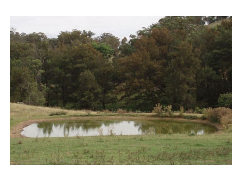 MARYVALE HOMESTEAD, Tamworth NSW 2340