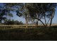 HAWK LOCH, Tamworth NSW 2340