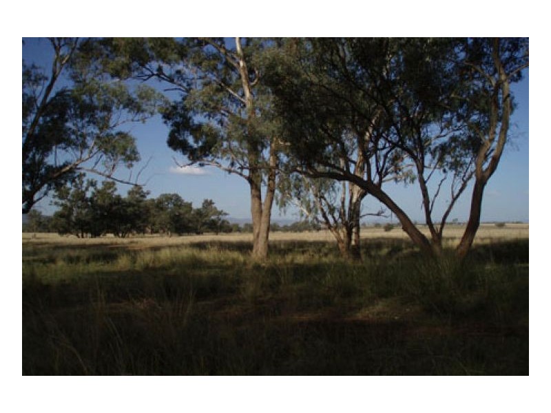 HAWK LOCH, Tamworth NSW 2340