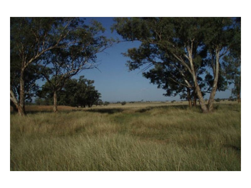 HAWK LOCH, Tamworth NSW 2340