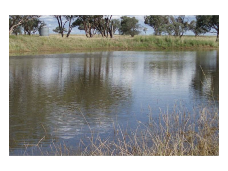 HAWK LOCH, Tamworth NSW 2340