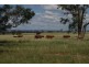 HAWK LOCH, Tamworth NSW 2340