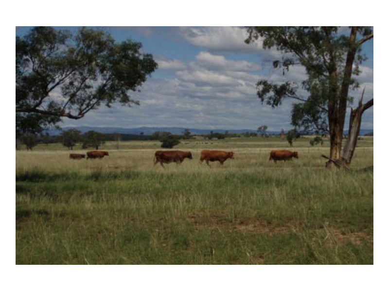 HAWK LOCH, Tamworth NSW 2340